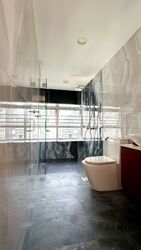 Cairnhill Residences (D9), Apartment #516652621